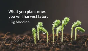 StudentMotivationQuote3